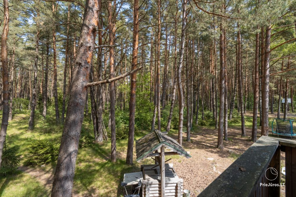 Домики в Паланге в сосновом бору, у моря и апартаменты в «Malūno vilos»