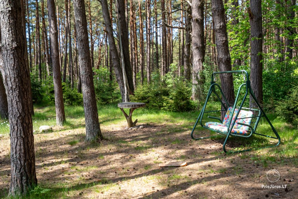 Домики в Паланге в сосновом бору, у моря и апартаменты в «Malūno vilos»