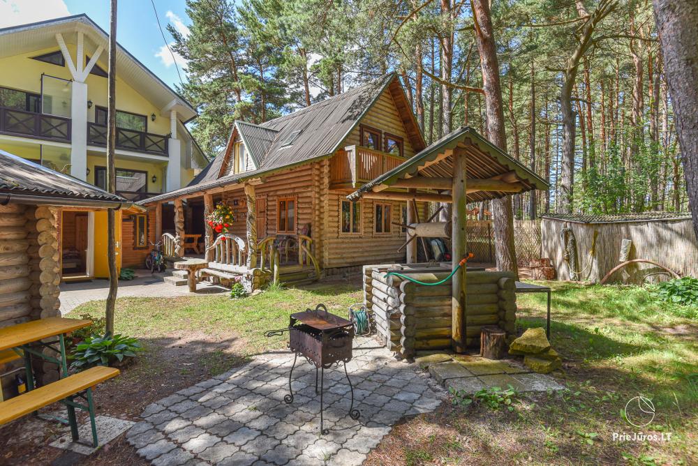 Holiday houses for rent in Palanga, in pine forest, near the sea - 1