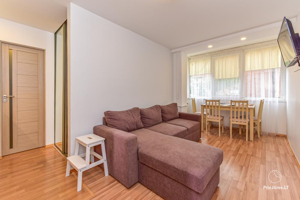 Two rooms apartment  Vilija in the center of Nida