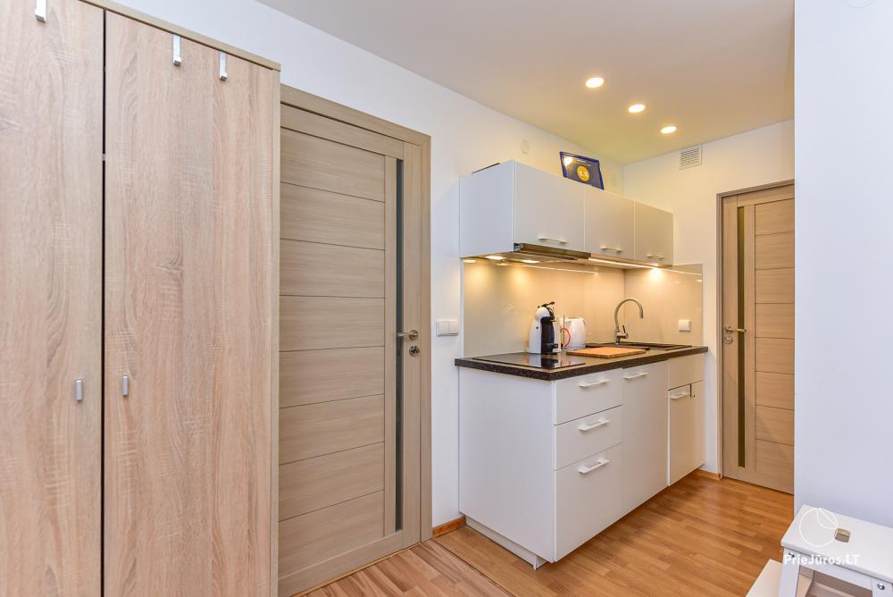 Two rooms apartment  Vilija in the center of Nida