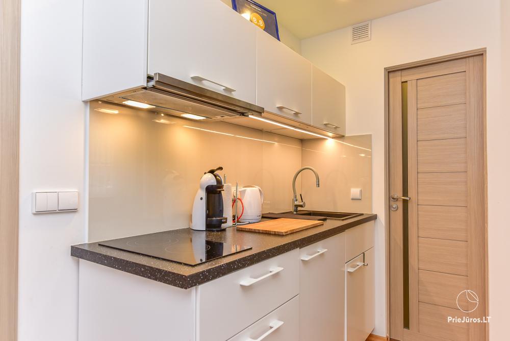 Two rooms apartment  Vilija in the center of Nida
