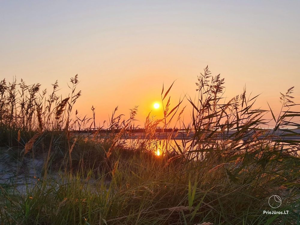 Žalia kopa near the beach