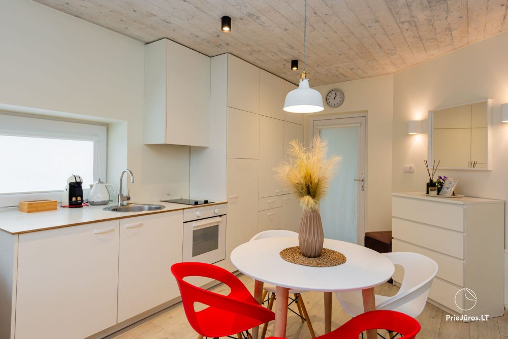 Žalia kopa apartment near the sea