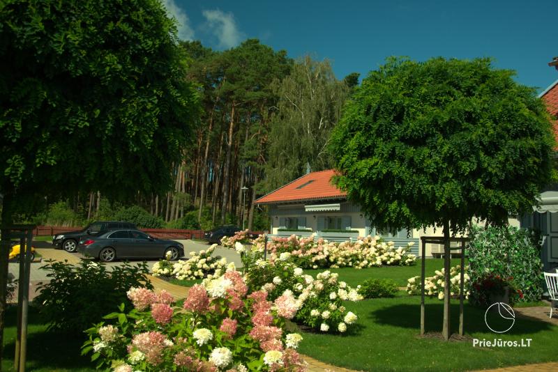 Pearl of Preila - accommodation in Curonian Spint, in Lithuania