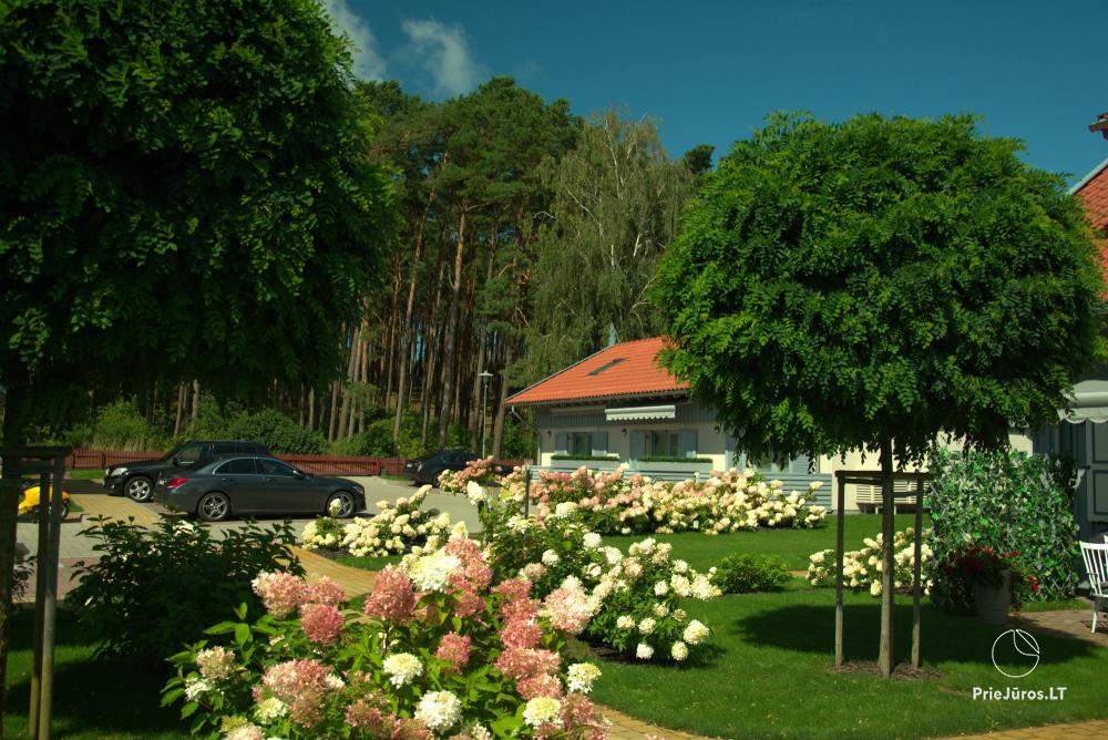 Pearl of Preila - accommodation in Curonian Spint, in Lithuania - 1