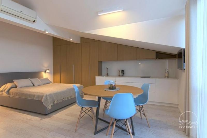 Modern 1-room apartment in the center of Nida with air conditioning and parking