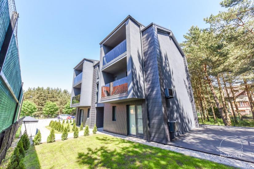 Apartment in the dunes in Palanga, in Kunigiskes - 1