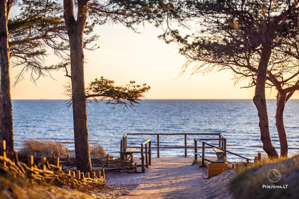 Apartment in the dunes in Palanga, in Kunigiskes