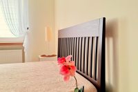 Краткосрочная аренда квартир в самом центре Клайпеды «City Memories Apartment» и «Golden Dune Apartment».