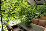 Apartments for rent in Juodkrante - 2