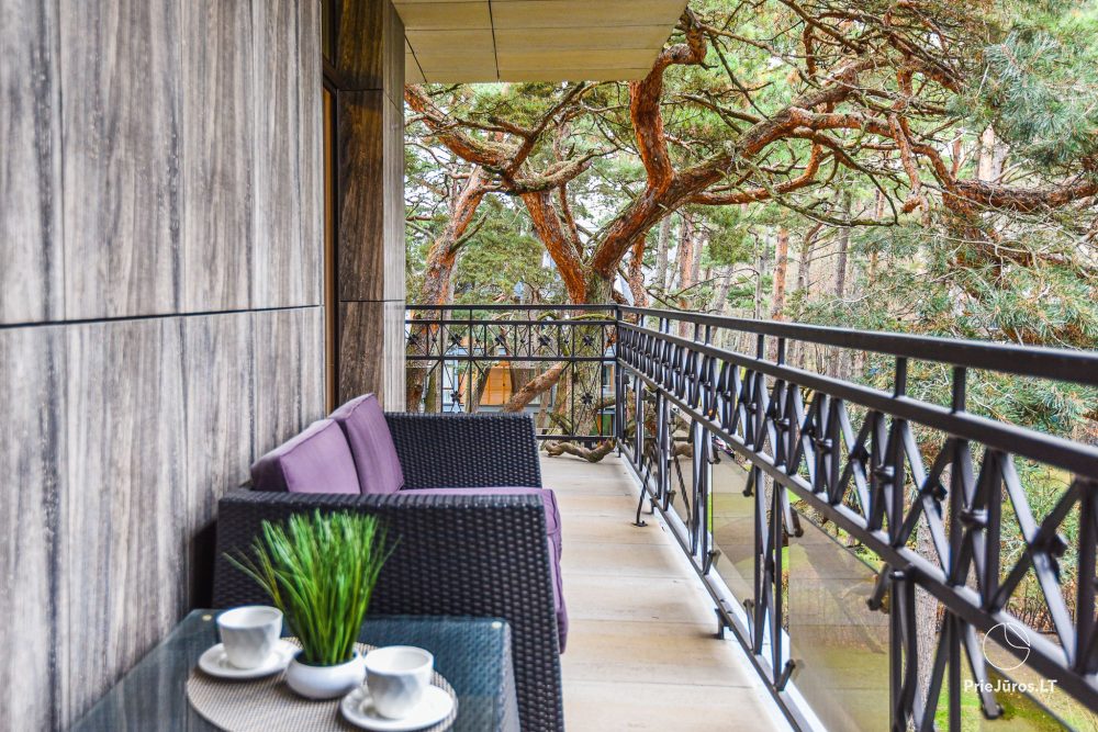 Exclusive cottage for rent in Palanga
