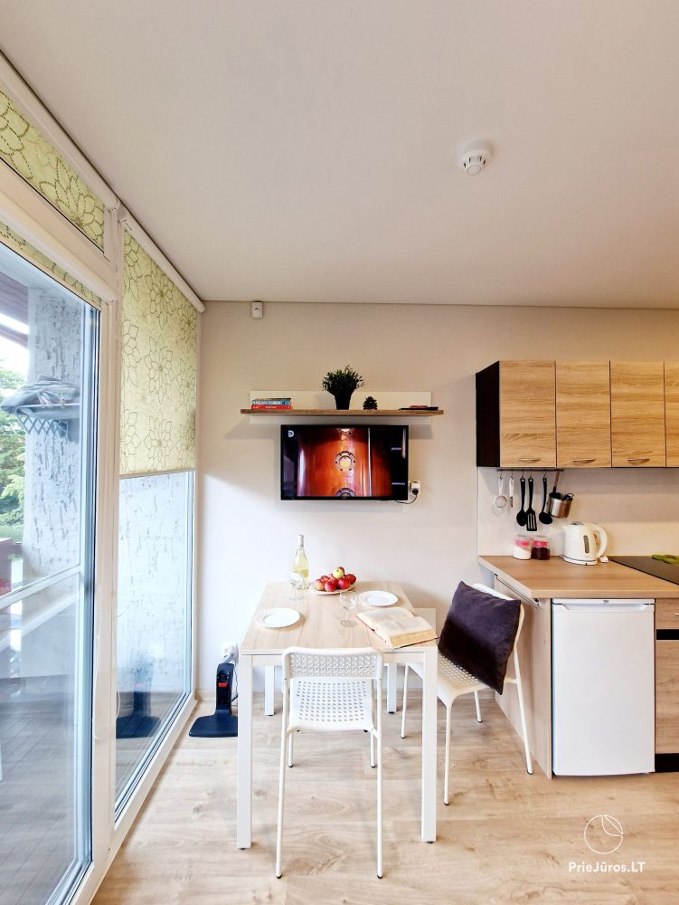 Cozy studio apartments for your rest in Curonian Spit