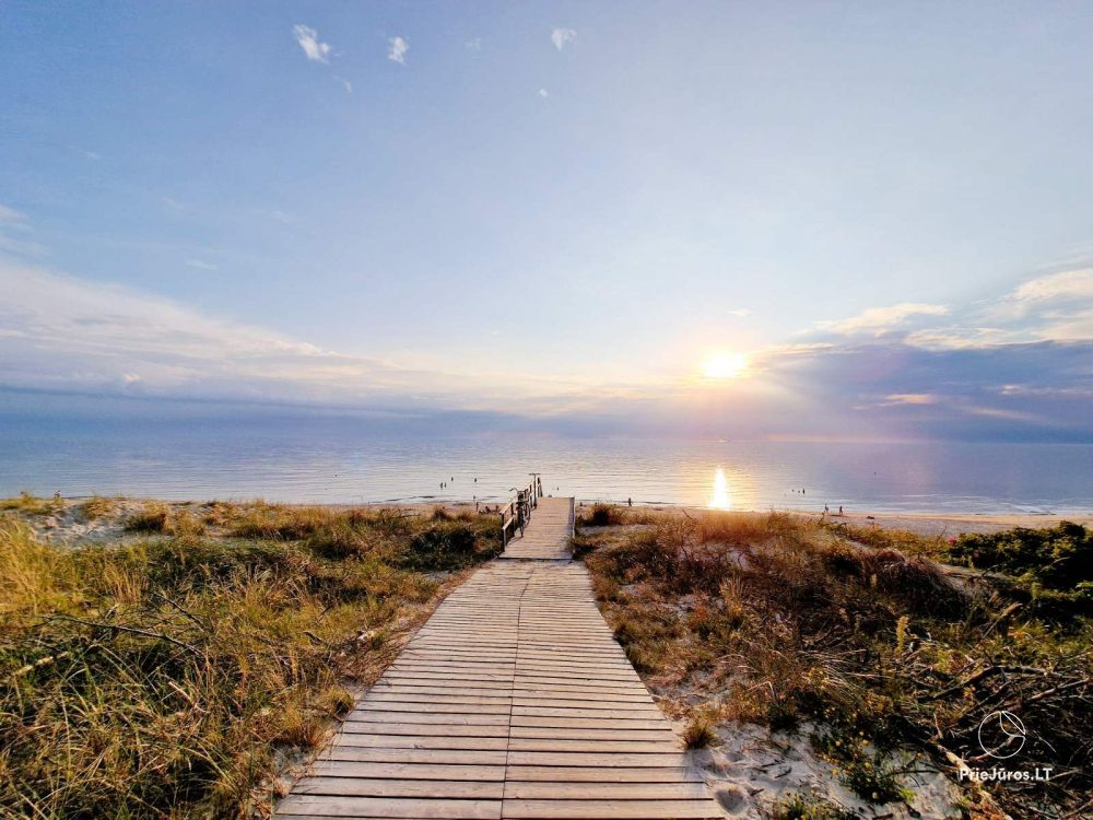 Cozy studio apartments for your rest in Curonian Spit