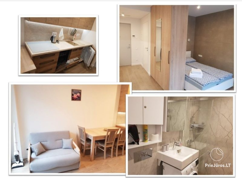 Cozy studio apartments for your rest in Curonian Spit