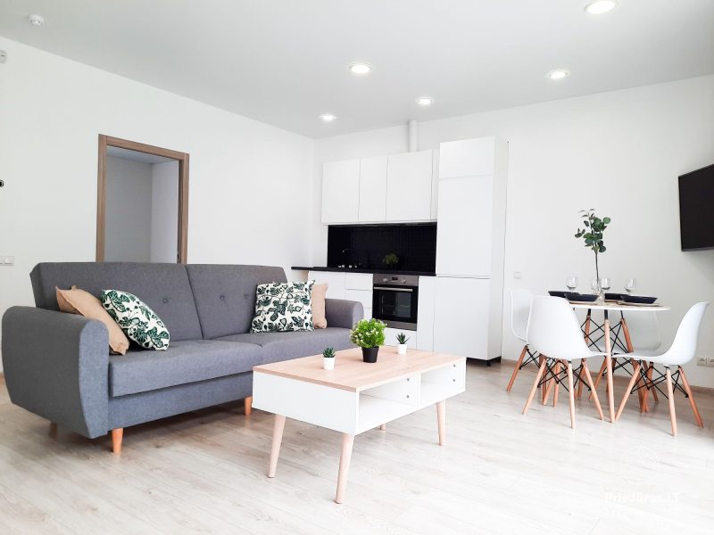 New, bright, scandinavian style apartment in Sventoji