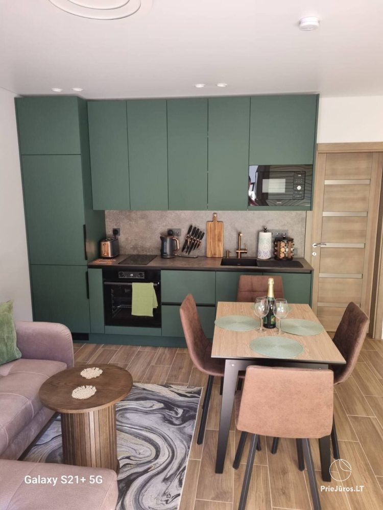 Flat for rent in Palanga. There is air conditioner - 1