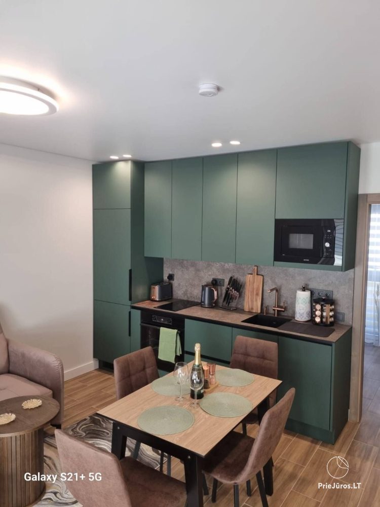 Flat for rent in Palanga. There is air conditioner