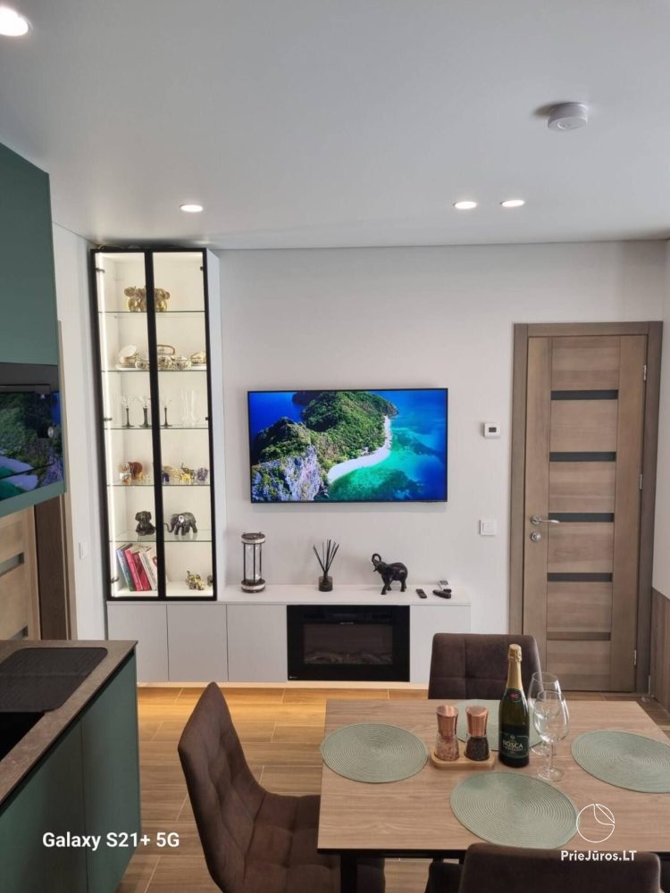 Flat for rent in Palanga. There is air conditioner