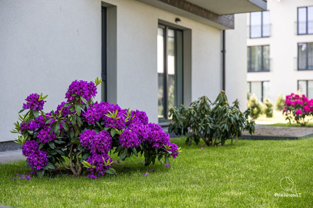 Egitos apartment in Palanga