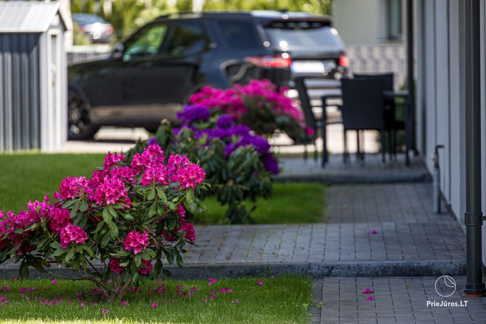 Egitos apartment in Palanga