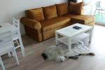 Two rooms apartment for rent in center of Palanga - 6