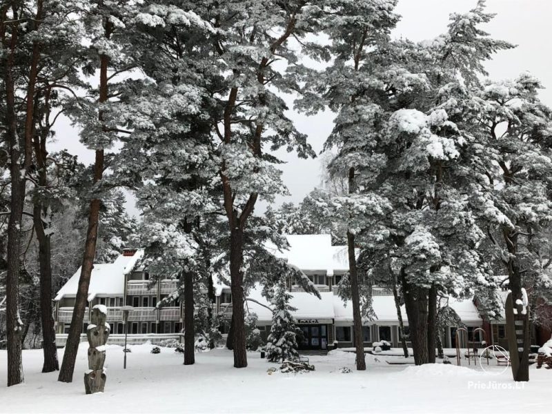 Guest house SKALVA in Nida: where the lagoon meets the tranquility of the pine forest!