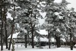 Guest house SKALVA in Nida: where the lagoon meets the tranquility of the pine forest! - 4