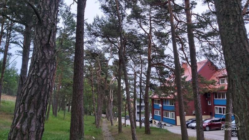 2 уютные студии для аренды в центре Ниды, ул. Švyturio «Prie Pušyno»