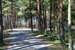 Two rooms flat for rent in Palanga - 3