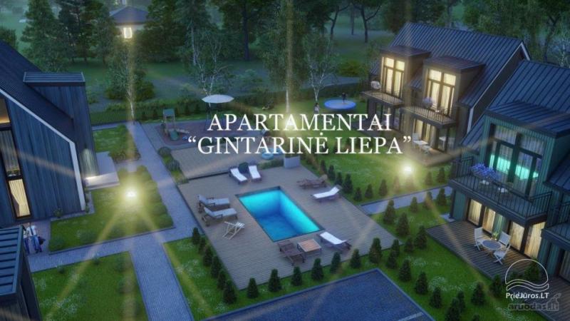Apartment Gintarine Liepa in Palanga, in Kunigiskiai