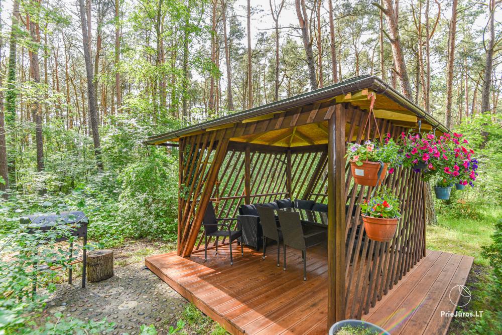 Apartments MATUL in Preila, Curonian Spit, near the lagoon and Baltic sea