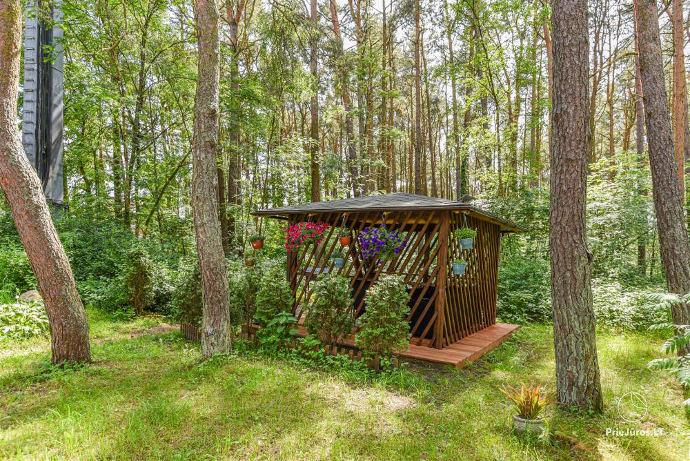 Apartments MATUL in Preila, Curonian Spit, near the lagoon and Baltic sea