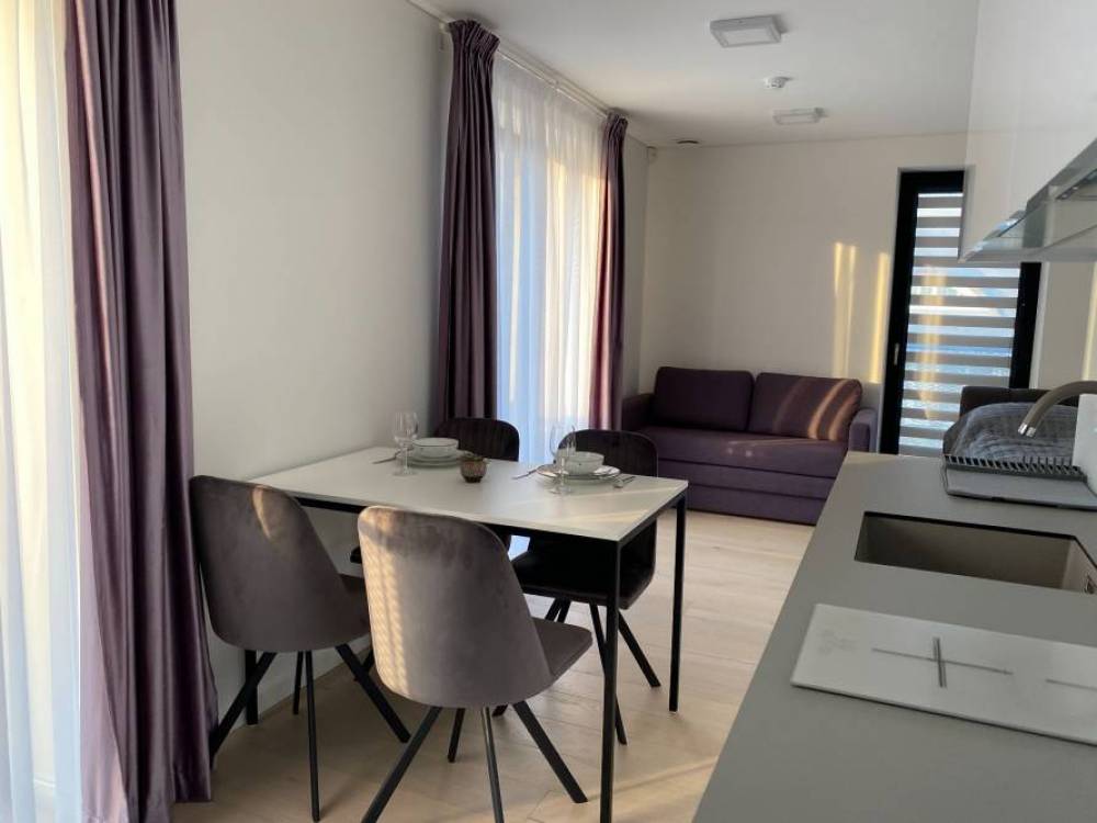 Apartment in a newly built district in Pervalka, Curonian Spit - 1
