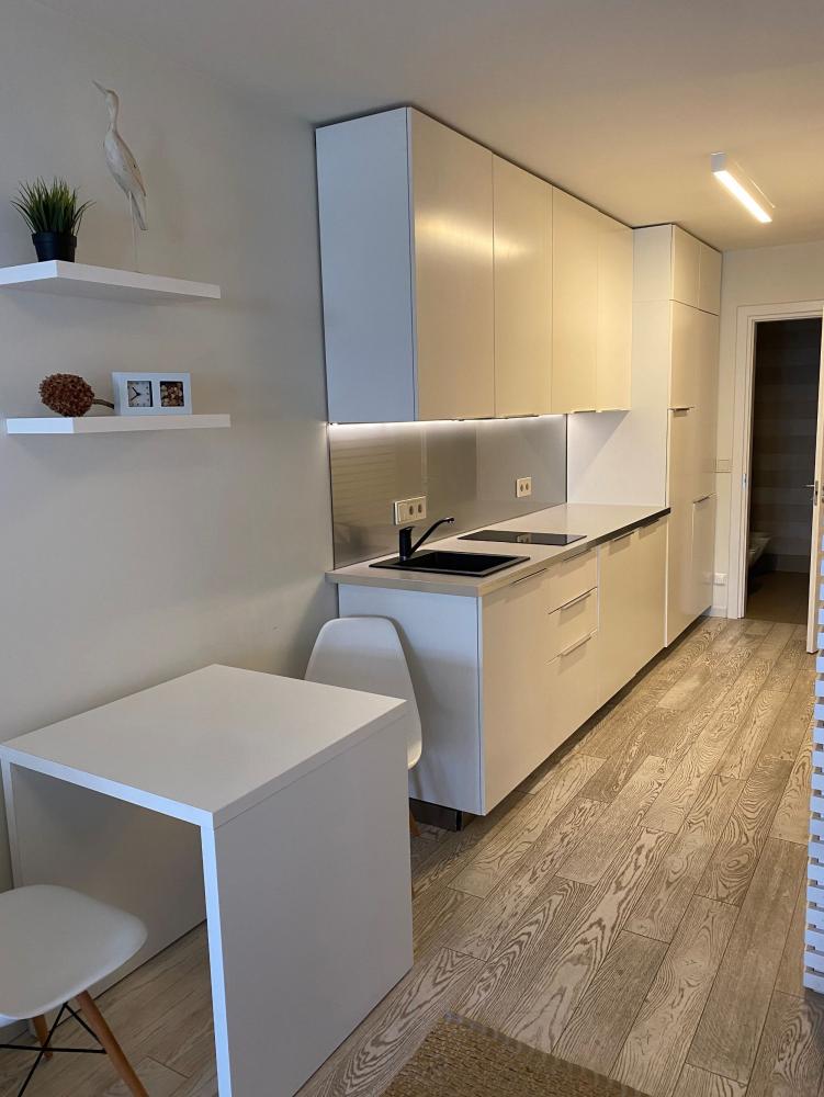 Spacious apartment Nidos Vilnele