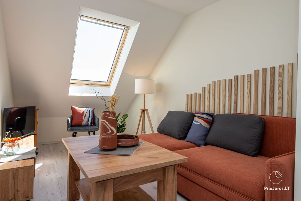 Medūnė - apartment for rent in Nida, in Curonian Spit - 1
