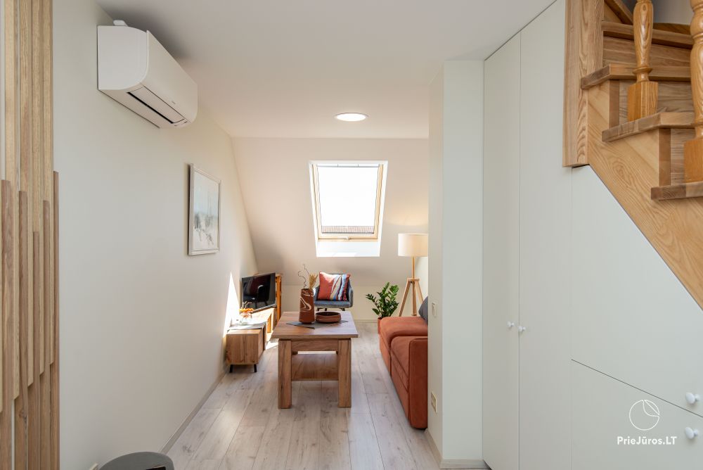 Medūnė - apartment for rent in Nida, in Curonian Spit