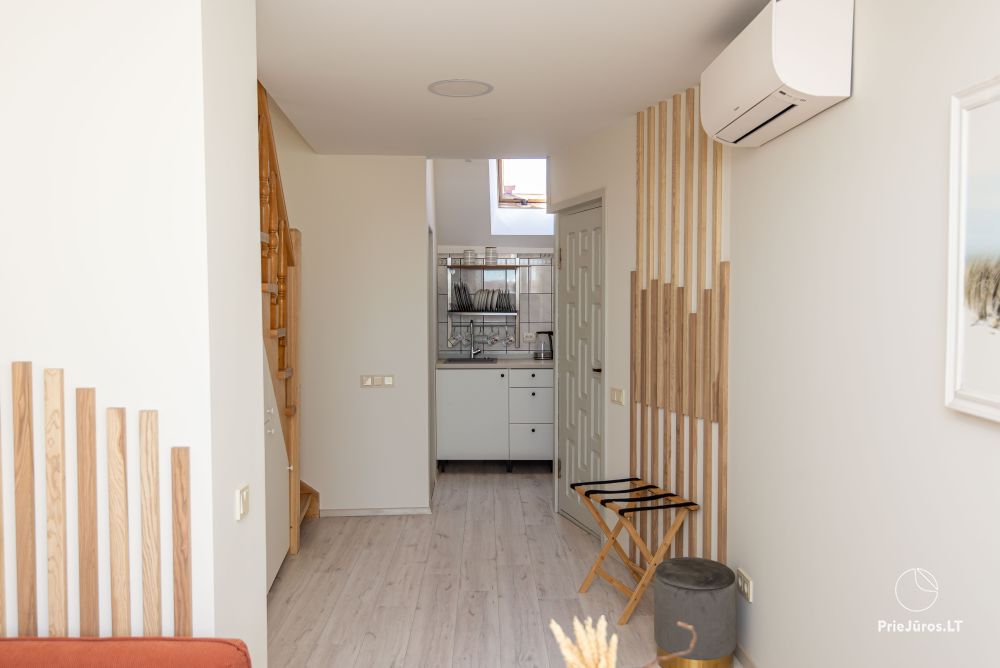 Medūnė - apartment for rent in Nida, in Curonian Spit
