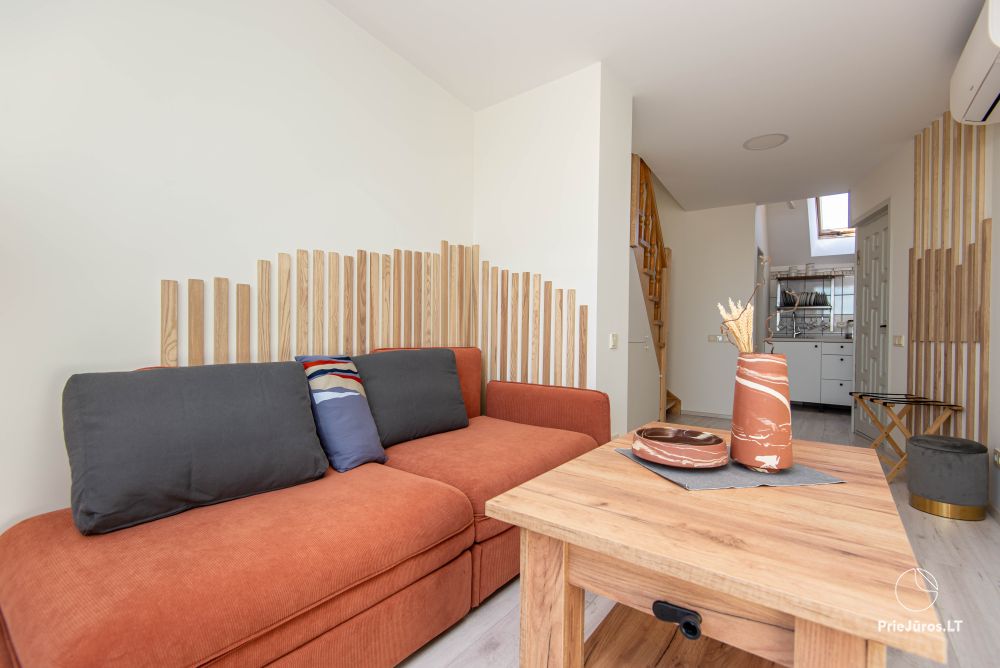 Medūnė - apartment for rent in Nida, in Curonian Spit
