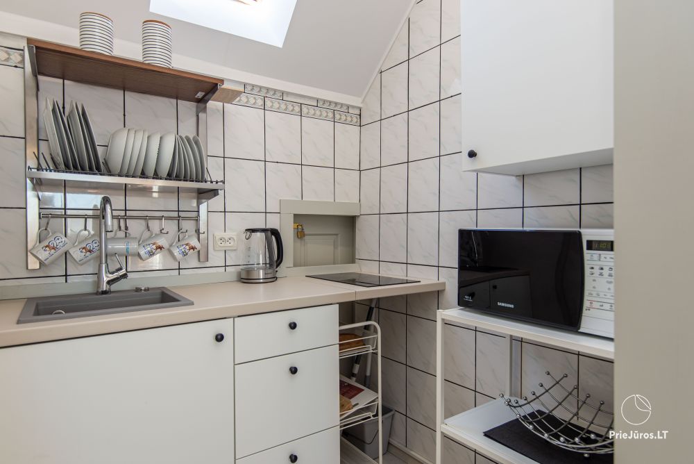 Medūnė - apartment for rent in Nida, in Curonian Spit