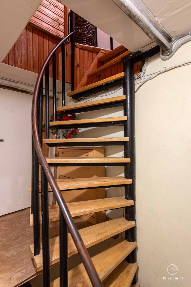 Medūnė - apartment for rent in Nida, in Curonian Spit