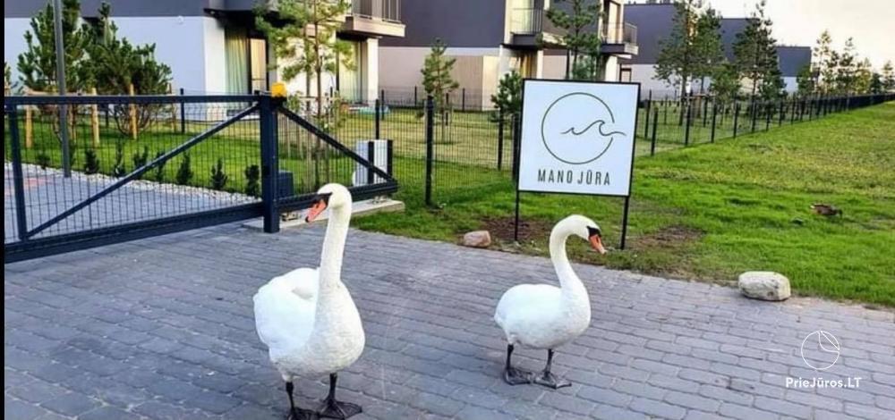 Apartment for your rest in complex Mano jura