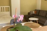 Guest house "Emile" in Palanga