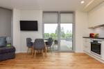 New one room flat with terrace for rent in Sventoji