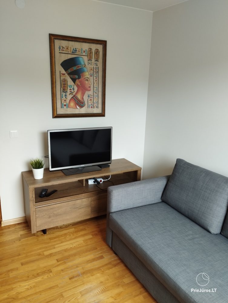 Three room apartment on the sea shore in Curonian Spit, 50m from the beach