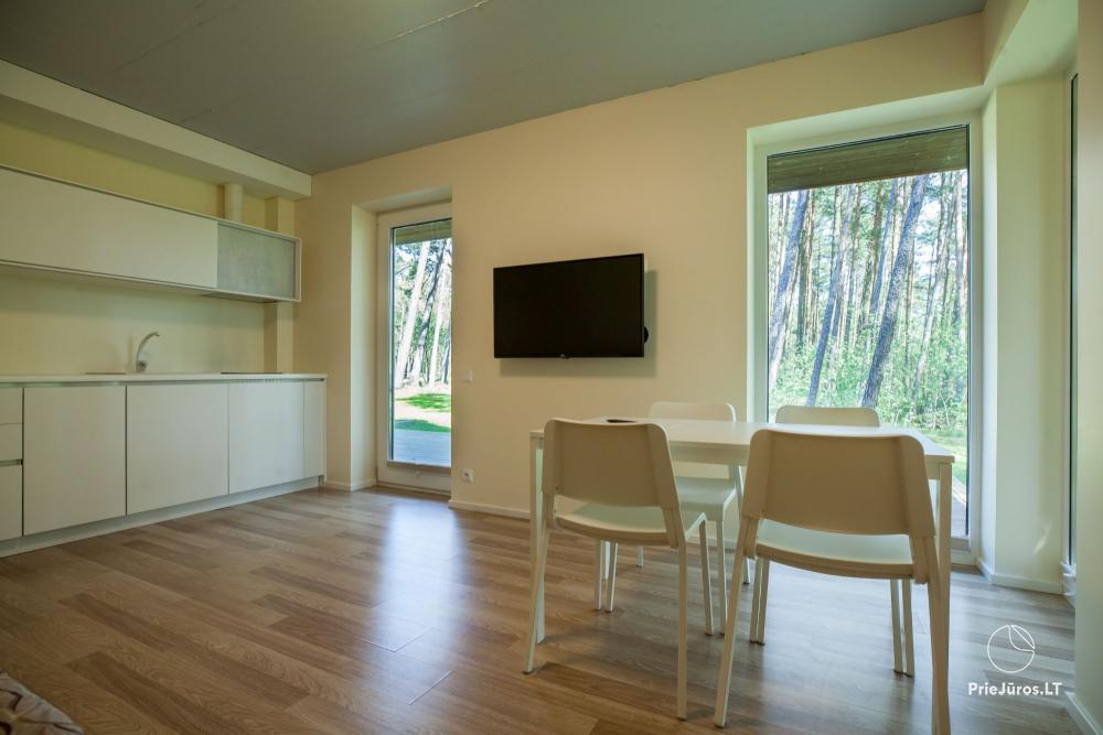 Apartments with the view to the pine forest for rent in Preila Preila4You