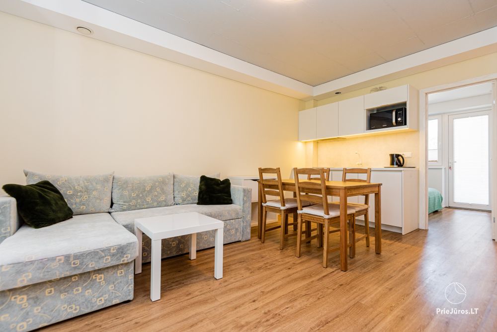 Apartments with the view to the pine forest for rent in Preila Preila4You