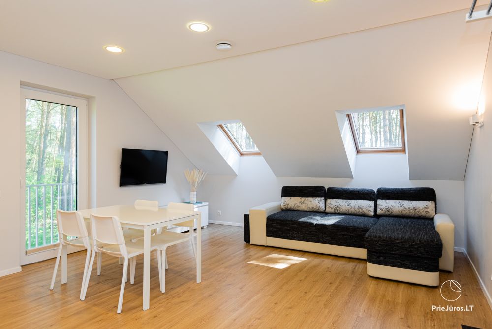 Apartments with the view to the pine forest for rent in Preila Preila4You