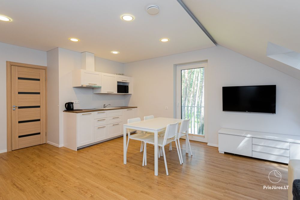 Apartments with the view to the pine forest for rent in Preila Preila4You