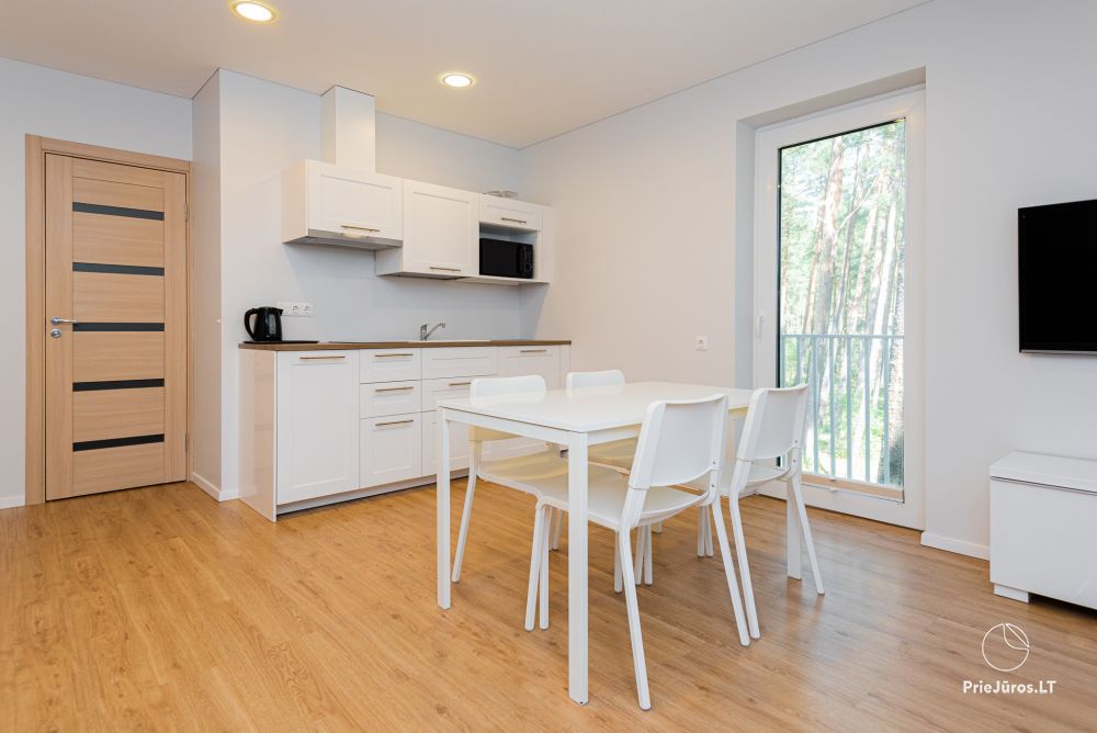 Apartments with the view to the pine forest for rent in Preila Preila4You